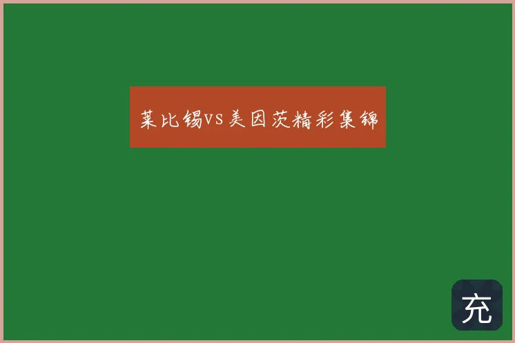 莱比锡vs美因茨精彩集锦