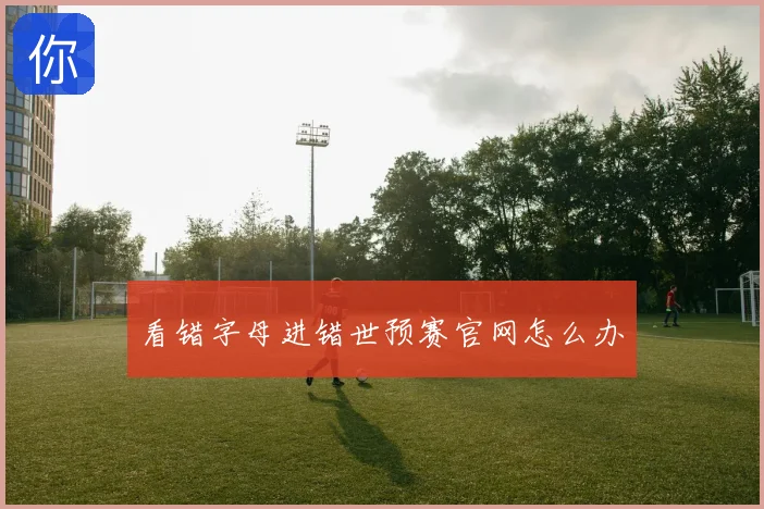 看错字母进错世预赛官网怎么办